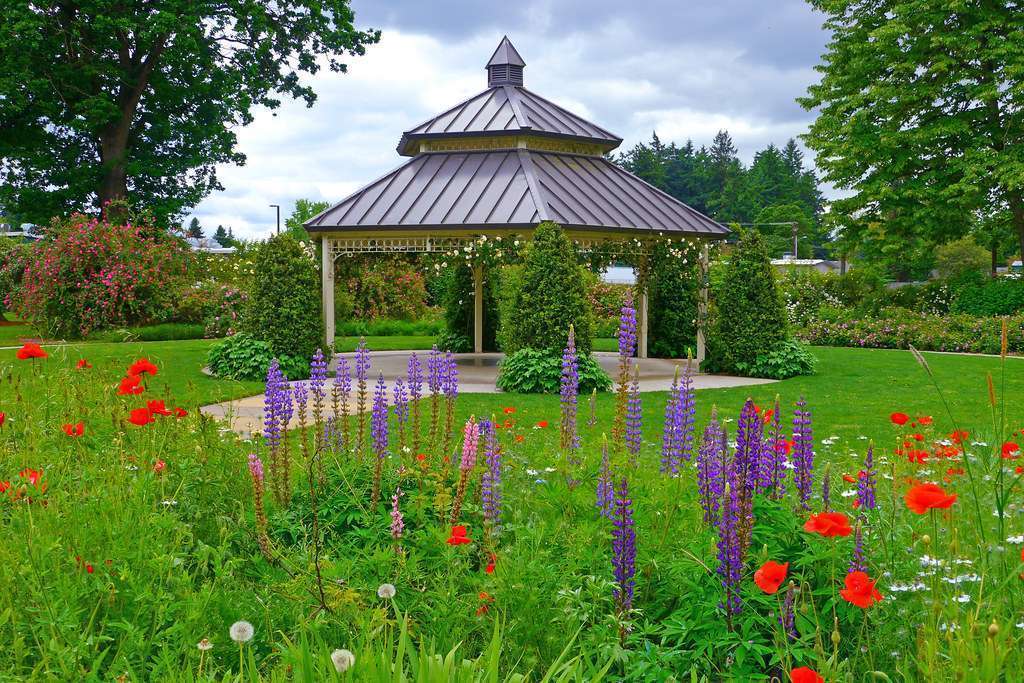 Owen Rose Garden