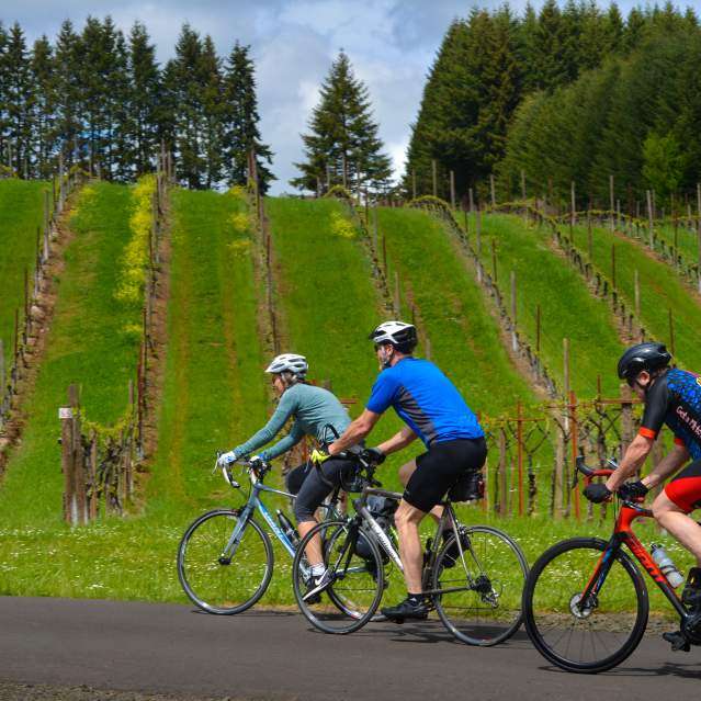 Willamette Valley Scenic Bikeway