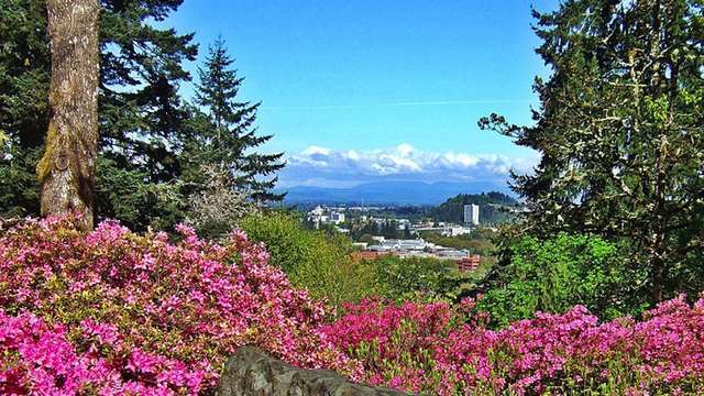 Hendricks Park View