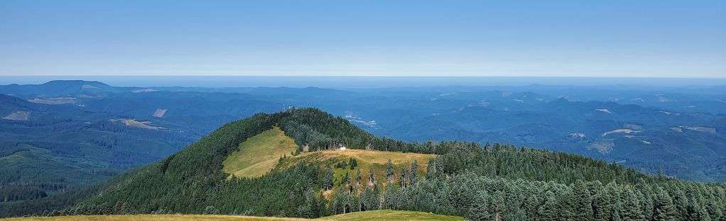 Mary's Peak View