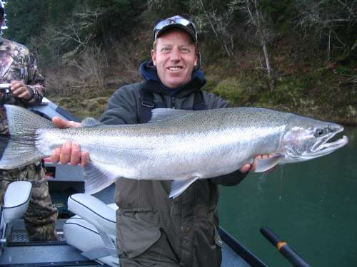 Steelhead Fishing