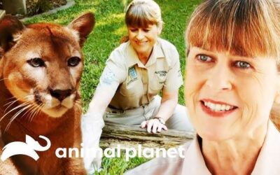 Terri Irwin