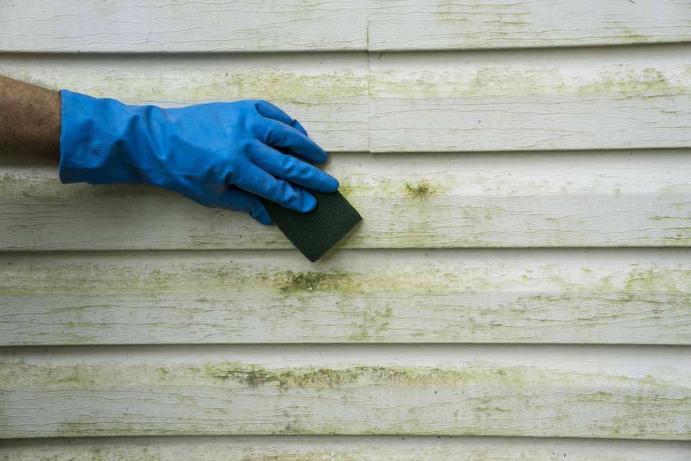 Common Exterior Paint Problems