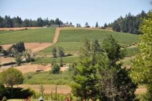 Silvan Ridge Winery photo