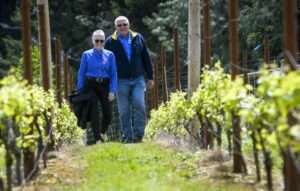 Bluebird Hill Cellars photo