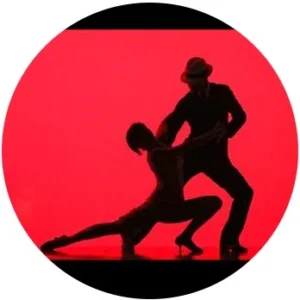 The Dancing Dojo photo