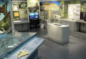 Museum of Natural and Cultural History photo