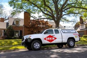 Orkin photo