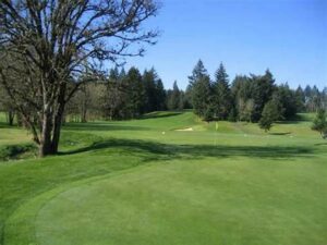 Diamond Woods Golf Course photo