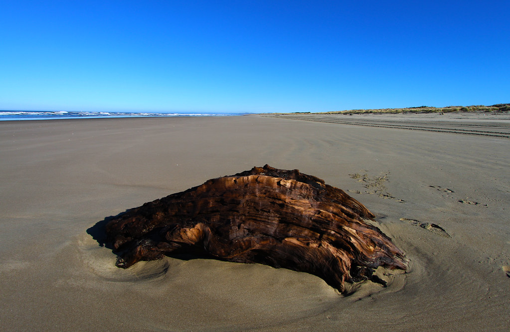 Florence Oregon fishing — photo 1, Oregon