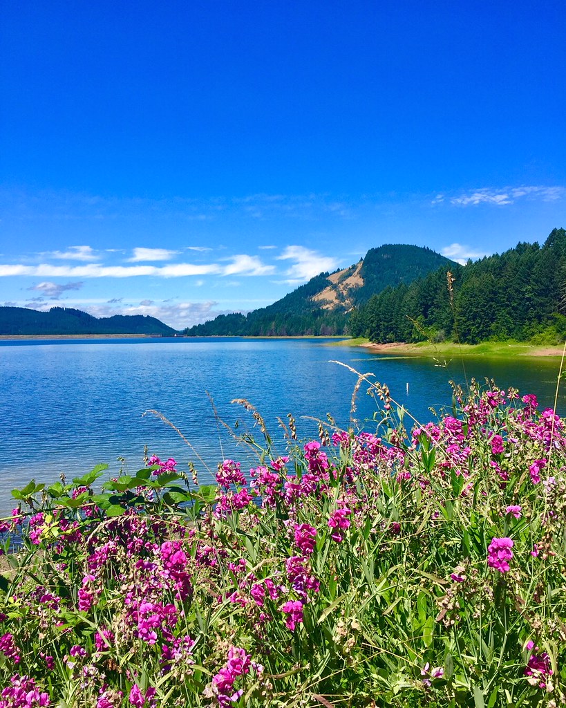 Dorena Lake Oregon — photo 1, Lane County