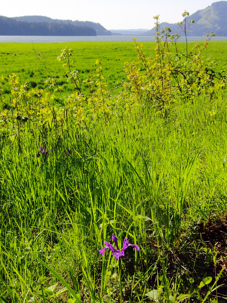 Dorena Lake Oregon — photo 1, Lane County