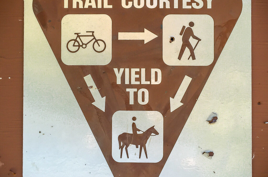Mosby Creek Trail, Lane County
