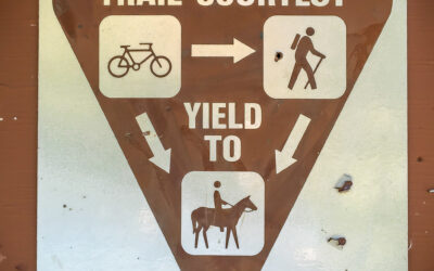 Mosby Creek Trail, Lane County