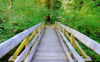 Terwilliger Hot Springs:, Lane County