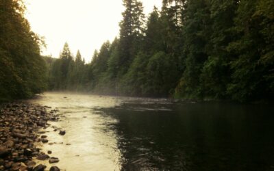 Outdoor Recreation Grants:, Lane County