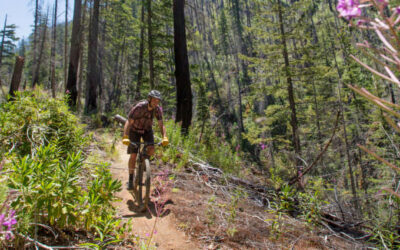 Oakridge Mountain Biking, Oregon