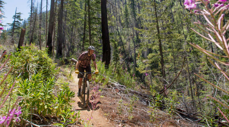 Oakridge Mountain Biking, Oregon