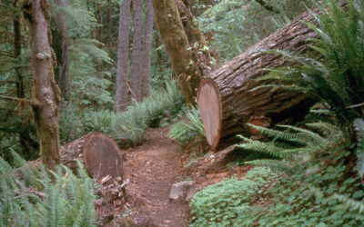 Lane County Wildfire Preparedness, Oregon