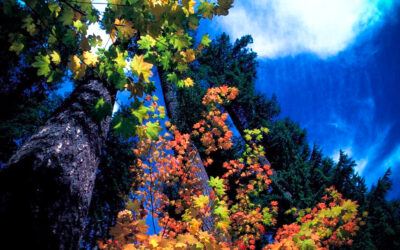 Tire Mountain Trail:, Oregon